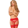 Пояс для чулок + стринги NDS 9905-2 Red M/L (23580)