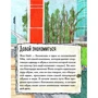 Чому я можу навчитися у Філа Найта: Виробник Паблішер