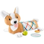 Розвиваючий ігровий набір Fisher-Price Цуценя (HJW10) фото 8