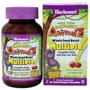 Bluebonnet Nutrition Rainforest Animalz, Multiple Complete Daily Nutrition For Kids, 90 Animal-Shaped Chewables (BLB0184)