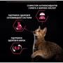 Сухой корм Pro Plan Sterilised Duo для стерилизованных кошек с уткой и печенью 1.5 кг (7613036732369) фото 10