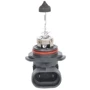 Галогенна автолампа Bosch 9006 (HB4) Pure Light 12V 51W (1987301063): Виробник Bosch