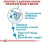 Сухой корм для щенков Royal Canin Medium Puppy средних пород 1 кг (30030101): Свойства Укрепление имунной системы, Поддержка физической формы, Основное питание, Забота о пищеварении