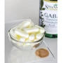 Swanson, GABA 500 mg 100 caps (SWA-01872): Форма випуску капсули