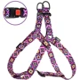 Шлей Hidog Aztec 26-40см/1см (125\1003): Виробник HiDog