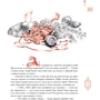 Микола Гоголь: Тарас Бульба (в матерiалi + тиснення золотом): Кількість сторінок 120