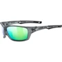Спортивные очки Солнцезащитные очки UVEX sportstyle 232 P 2024 (4043197348056)