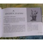 Арабо Саргсян: Оракул для больших и маленьких детей. Истории духов, гномов и фей (48 карт + брошюра) фото 10