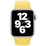 Аксесуар для Watch Apple Sport Band Ginger (MGQR3) for Apple Watch 38 / 40/41mm: Виробник Apple