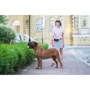 Поводок WAUDOG Waterproof, светящийся 25 мм 183 см красный (27223): Ширина 25 мм