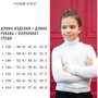 Гольф Top Hat Kids 19827 молочний 152 см: Тип Гольфи