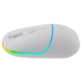 Мышь Canyon MW-22 Dual Band RGB Wireless Snow White (CNS-CMSW22SW): Тип сенсора оптический