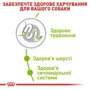 Сухий корм для собак Royal Canin XSmall Adult малих порід 3 кг (1003030): Порода Малые