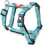 Шлейки для собак Max & Molly H-Harness - Popcorn XS (4894512024458)