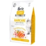 Сухой корм Brit Care GF Haircare Healthy and Shiny Coat для котов для ухода за шерстью Лосось и курица 400 г + суп 75 г (2700000049457): Тип Сухой корм