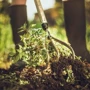 Культиватор Fiskars Xact (1027040): Тип культиваторы