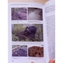 А. А. Захаров: Мураха. Родина. Колонія: ISBN 978-5-906811-68-4