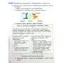Інна Большакова, Ігор Хворостяний: Українська мова та читання. 4 клас. Частина 2: Обкладинка Интегральная