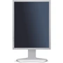 Монитор NEC P212 (60003989): Разрешение UXGA (1600x1200)