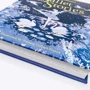 Illustrated Ballet Stories / Ілюстровані балетні розповіді: Количество страниц 256