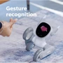 Loona Smart Robot Basic kit : Тип гаджета Роботы