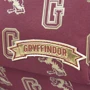 Рюкзак Cerda Harry Potter School Backpack (2100002835): Возрастная группа от 10 до 13 лет
