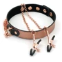 Ошейник с зажимами для сосков Liebe Seele Rose Gold Memory Collar with Nipple Clamps