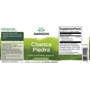 Swanson Chanca Piedra 500 mg Філлантус нірурі 60 веганських капсул: Форма випуску капсули