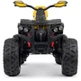 Детский электроквадроцикл Bambi Racer M 4795EBLR-6 до 30 кг: Вид квадроцикл