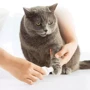 Триммер для когтей домашних животных Xiaomi Pawbby Pet Electric Mill a Methyl Controller White: Порода Все породы