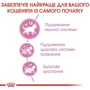 Сухий корм Royal Canin Kitten для кошенят 4 кг (2522040): Порода Все породы