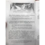 Д. В. Щедровицький: Пророцтва Книги Данила. Духовний погляд на минуле і майбутнє людства: Жанр релігії
