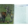 Шотландия. Путеводитель Berlitz Pocket Guide: ISBN 978-5-8183-1930-8