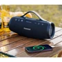 Акустика Tronsmart Mirtune S100 Black (1120931): Тип портативная