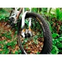 Покрышка Continental Cross King 26" x 2.20 (150404): Ширина, мм 55