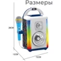 Дитячий караоке. Портативна Bluetooth колонка 6007: Вид микрофон
