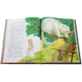 Льюис Кэрролл: Алиса в Стране Чудес: ISBN 978-5-353-09154-7