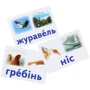 Навчальне забезпечення до уроків української мови. Слово як одиниця мови. Картки на магнітах: Обложка Мягкая