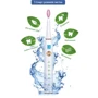 Зубная щетка AHealth SMART SONIC SMILE 1 white (AHsss1w): Назначение взрослая