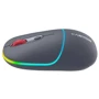 Мышь Canyon MW-22 Dual Band RGB Wireless Dark Grey (CNS-CMSW22DG): Тип сенсора оптический