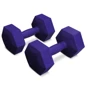 Гантель Hop-Sport HS-C040DS 2х4 кг фиолетовый (5902308231498)