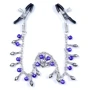Зажимы для сосков BOSS of TOYS Fetish Boss Series - №2 Exclusive Nipple Clamps (BS6100010)