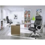 Офісне крісло Sofotel EG-223 Black: Оснащення Механизм качания, Подлокотники, С колесиками