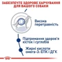 Сухой корм Royal Canin Maxi Adult для собак крупных пород 15 кг (3007150): Порода Крупные