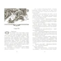 Эрин Хантер: Коты-воители. Обещание Метеора. Книга 1. Западня: ISBN 978-5-00111-041-5