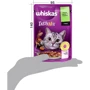 Упаковка влажного корма для котов Whiskas TastyMix Ягненок, Курица, Морковь 28х85 г (4770608262587) фото 8