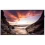 Монитор Samsung PH43F-P (LH43PHFPMGC/EN)