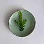 Столовый сервиз Ardesto Bagheria Pastel Green (AR29GGCT): Материал керамика