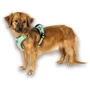 Шлея Max & Molly Smart ID Sport Harness Matrix 2.0 Jade M 48-65 см нефритовая (4255636810615) фото 5
