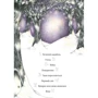 Яна Бауєр: Круторіжка та люта зима. Книга 2: ISBN 978-617-614-408-3